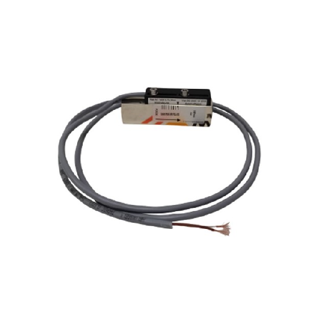 德国Meister迈斯特 RVM/U-L4/3 G 1/4流量开关